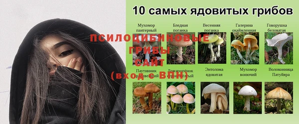 ГАЛЛЮЦИНОГЕННЫЕ ГРИБЫ Алексин