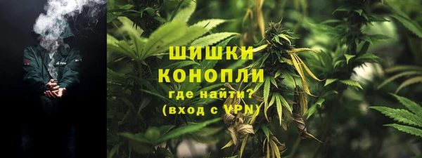 ГАЛЛЮЦИНОГЕННЫЕ ГРИБЫ Алексин