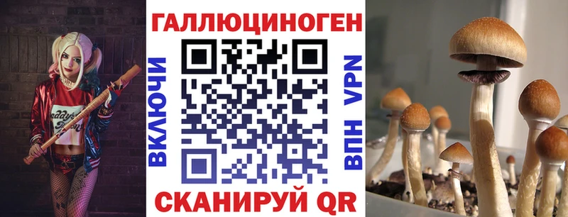 Галлюциногенные грибы мицелий  Александровское 